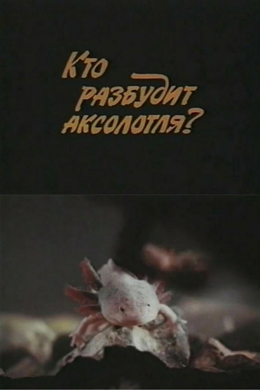 Кто разбудит аксолотля?