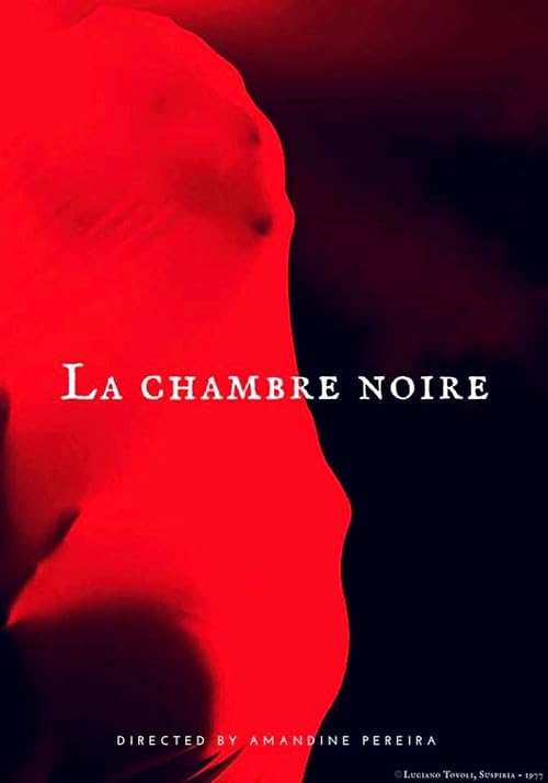 La Chambre Noire