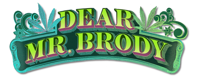Dear Mr. Brody