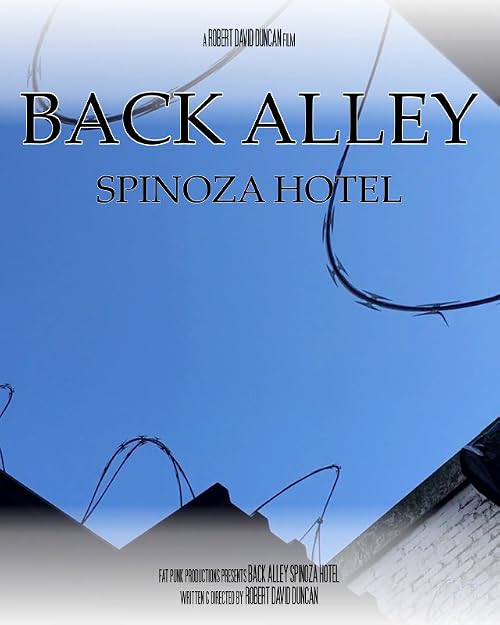 Back Alley Spinoza Hotel