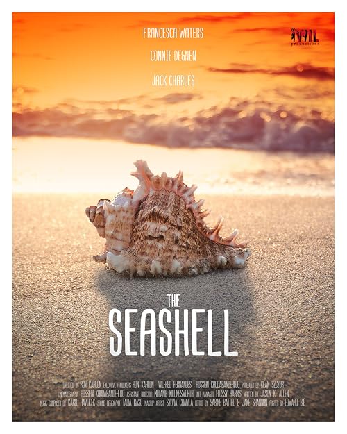 The Seashell