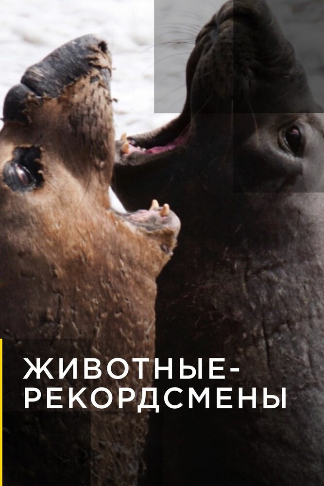 Животные-рекордсмены