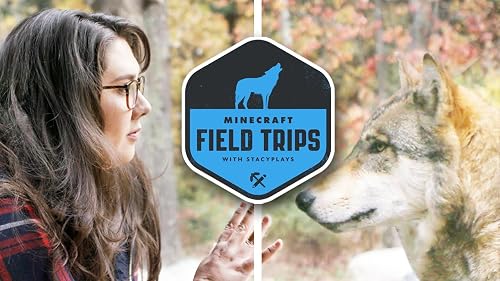 Minecraft Field Trips