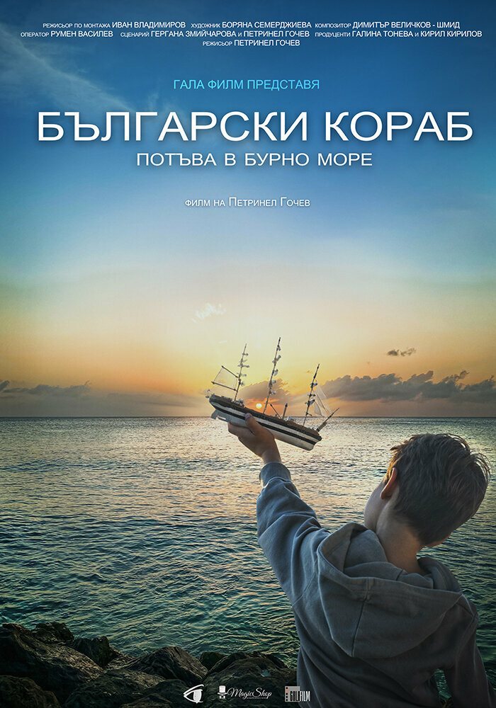 Bulgarian Ship Sinks