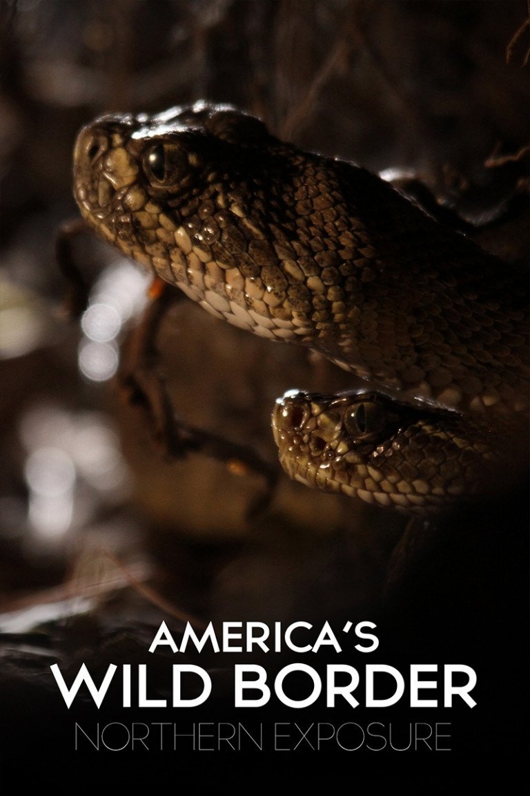 America's Wild Borders