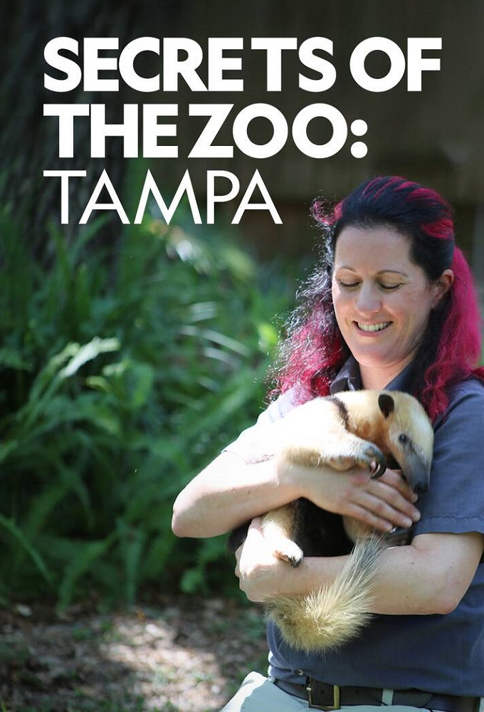 Zoogeflüster: Tampa