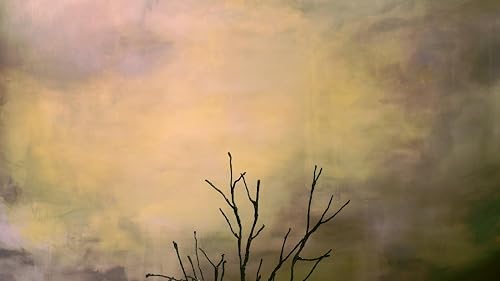 Terre