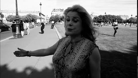 Catherine Deneuve, Rive Gauche