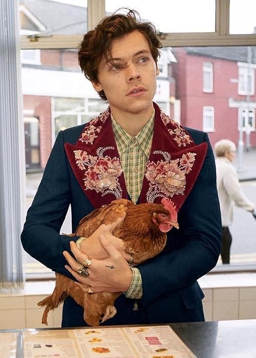 Gucci Men's Tailoring Campaign: Harry Styles