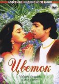 Phool