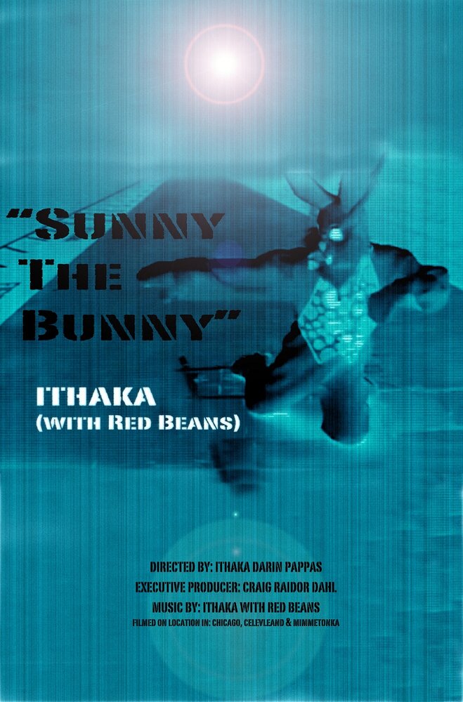 Sunny the Bunny