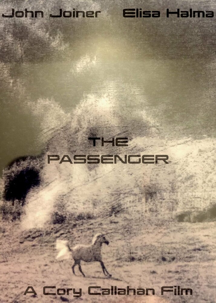 The Passenger