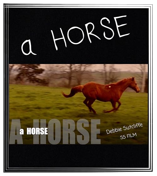A Horse