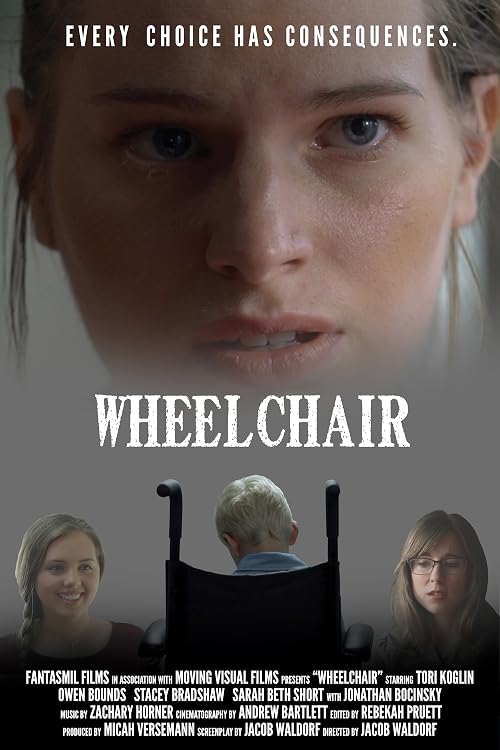 Wheelchair