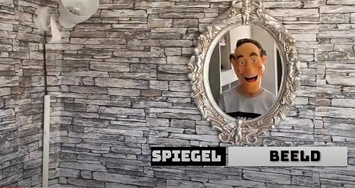 Spiegelbeeld