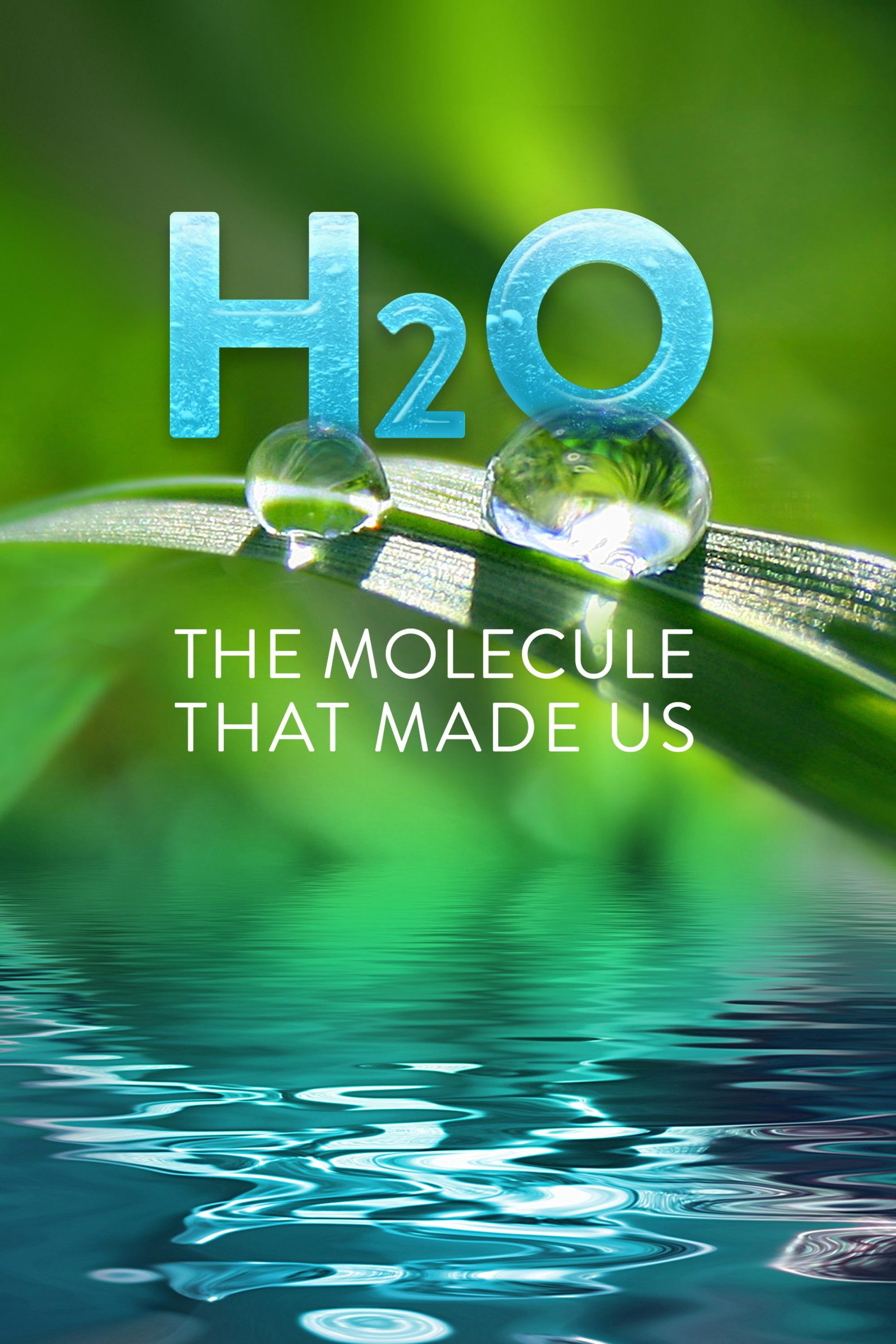 H20: The Molecule That Made Us