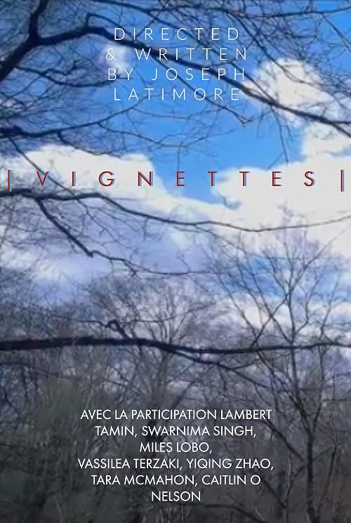 Vignettes