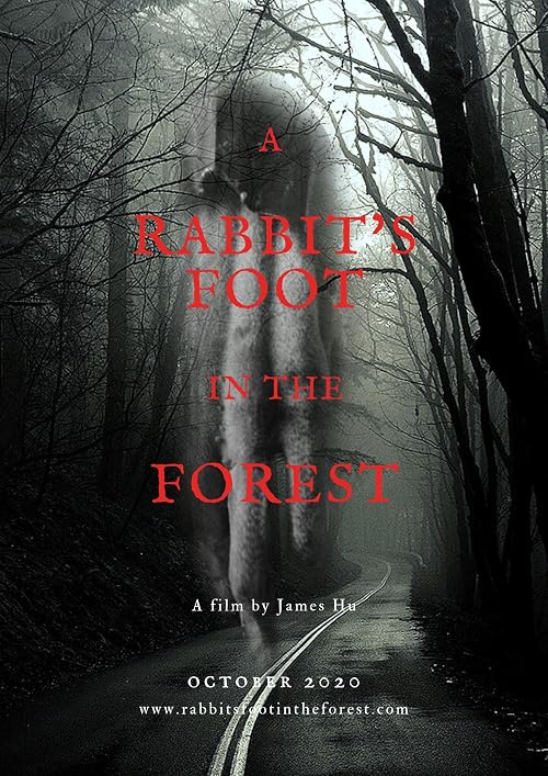 A Rabbit's Foot in the Forest