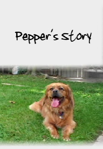 Pepper's Story