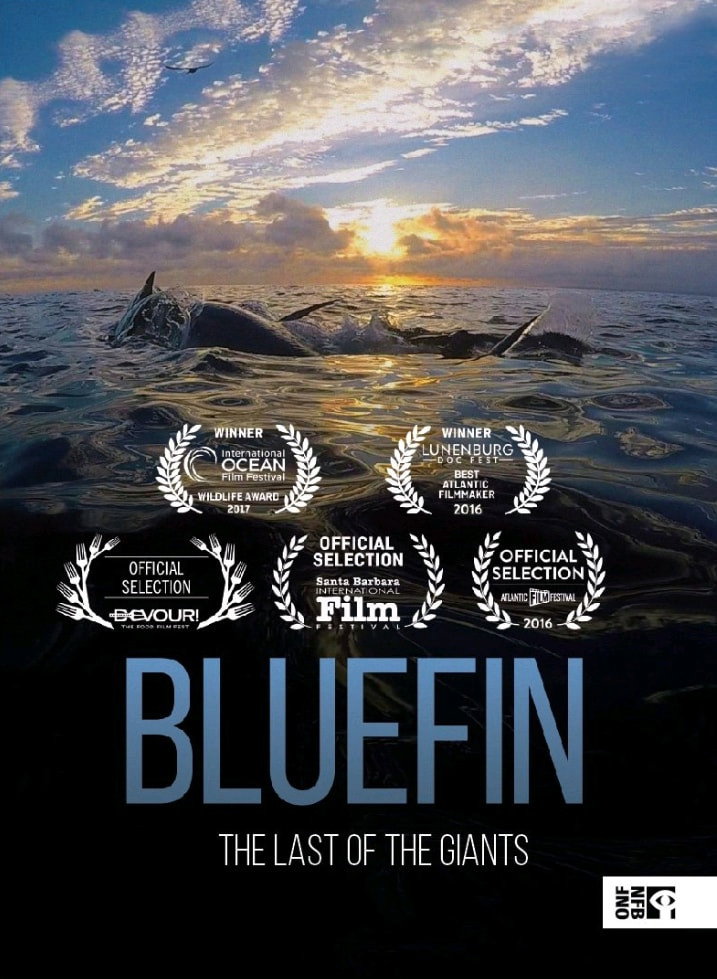 Bluefin
