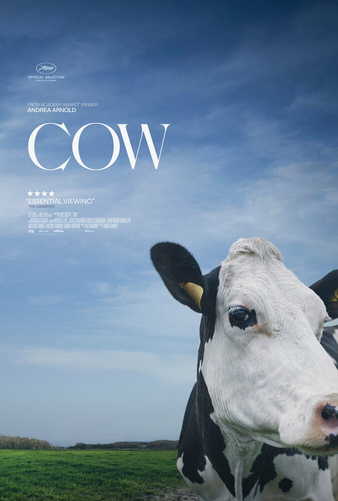 Vaca