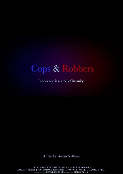 Cops and Robbers