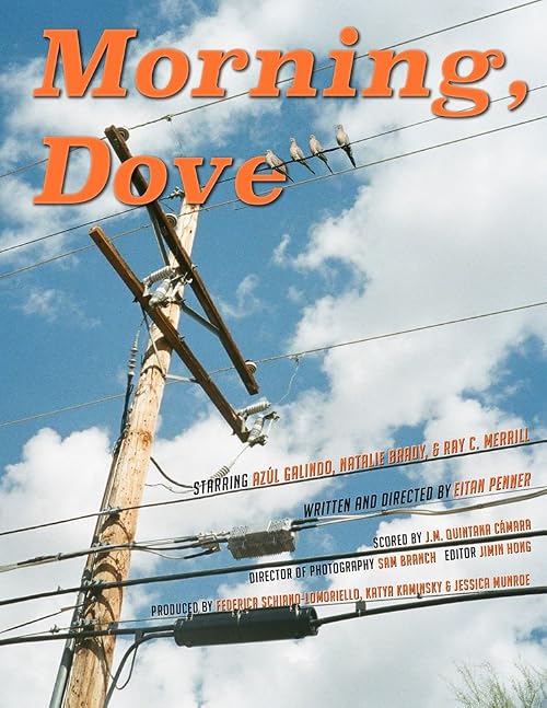 Morning, Dove