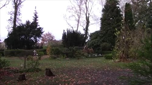Der Friedhof