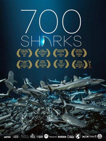 700 Sharks