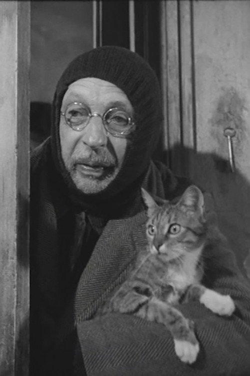 L'homme aux chats