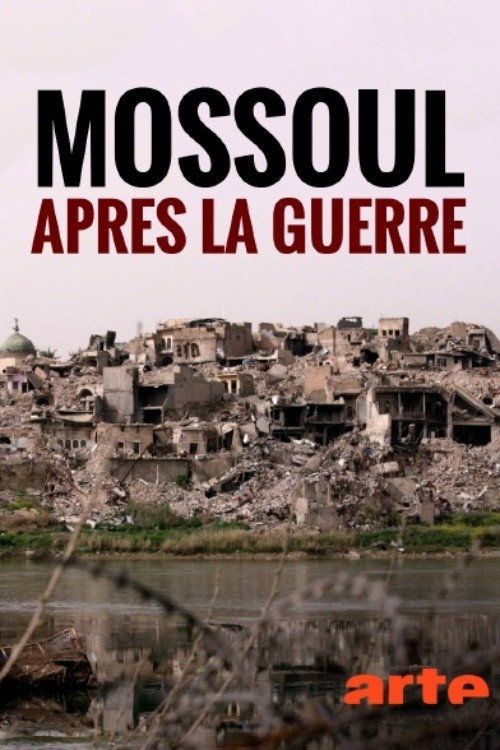 Mossul, nach der Schlacht