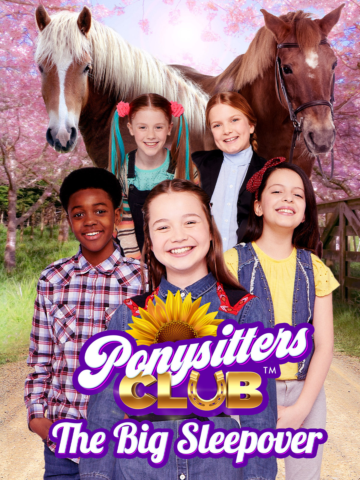 Ponysitters Club: The Big Sleepover