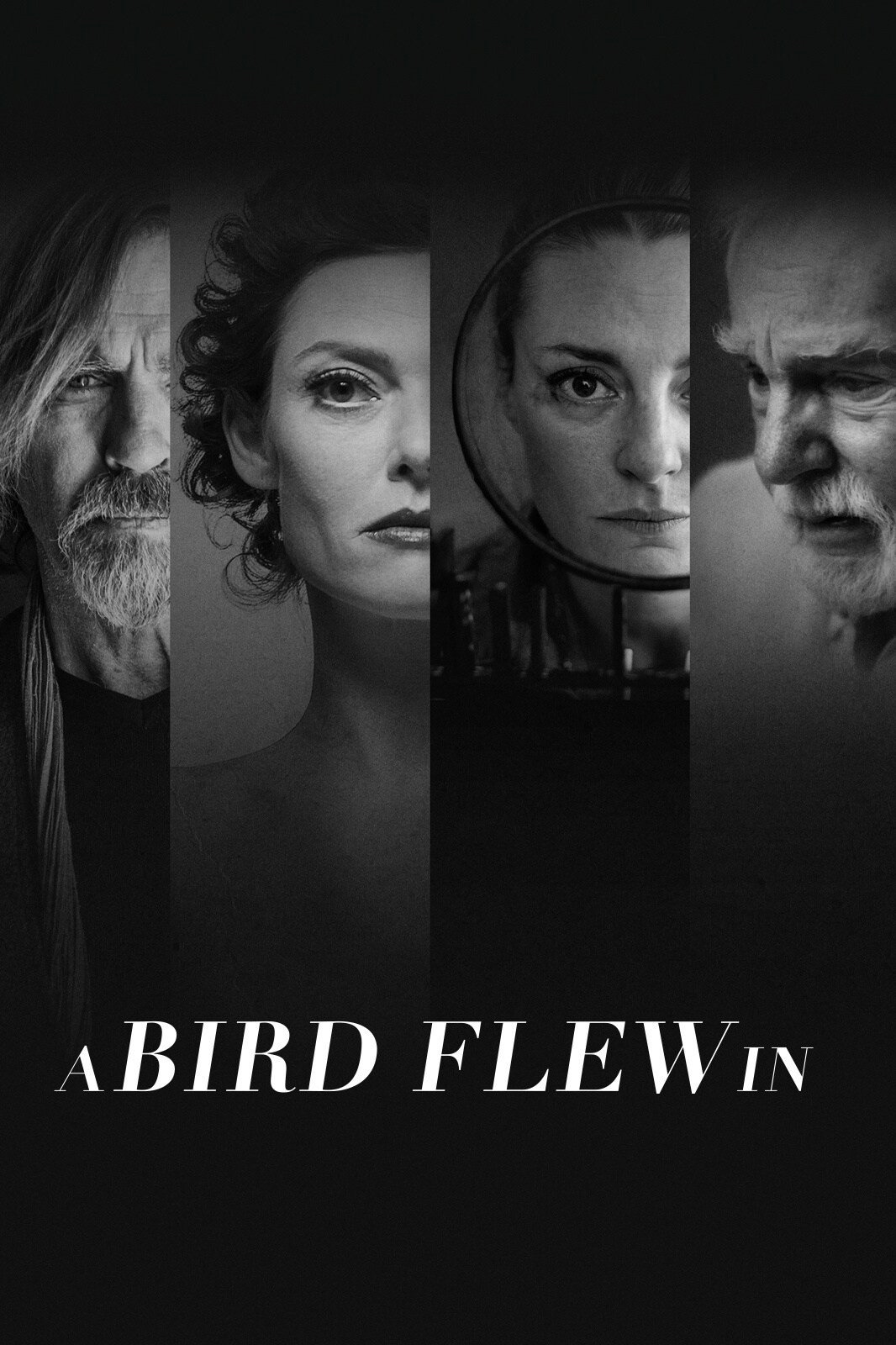 A Bird Flew In