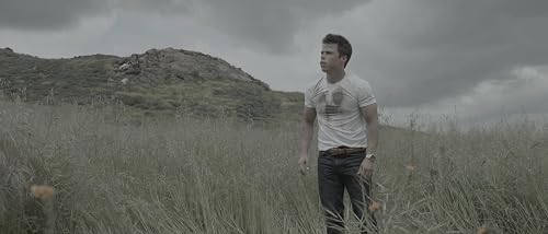 In the Meadow