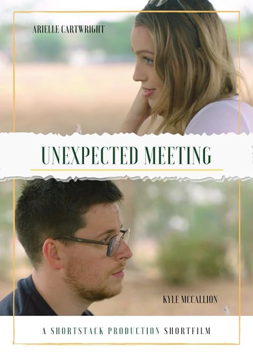 Unexpected Meeting