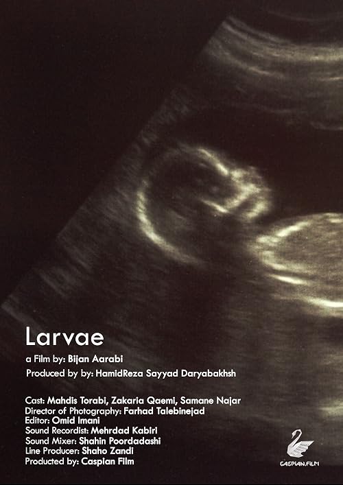Larvae