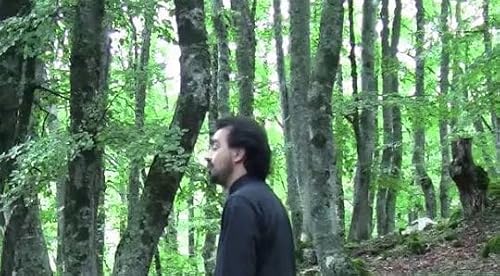 Stanze sonore - Esperimento n. 3: Il Bosco di Sant'Antonio