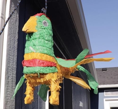 For Goodness Sake, the Piñata won't Break