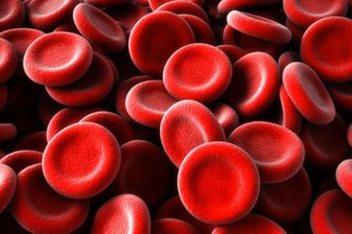 The Day of All the Blood