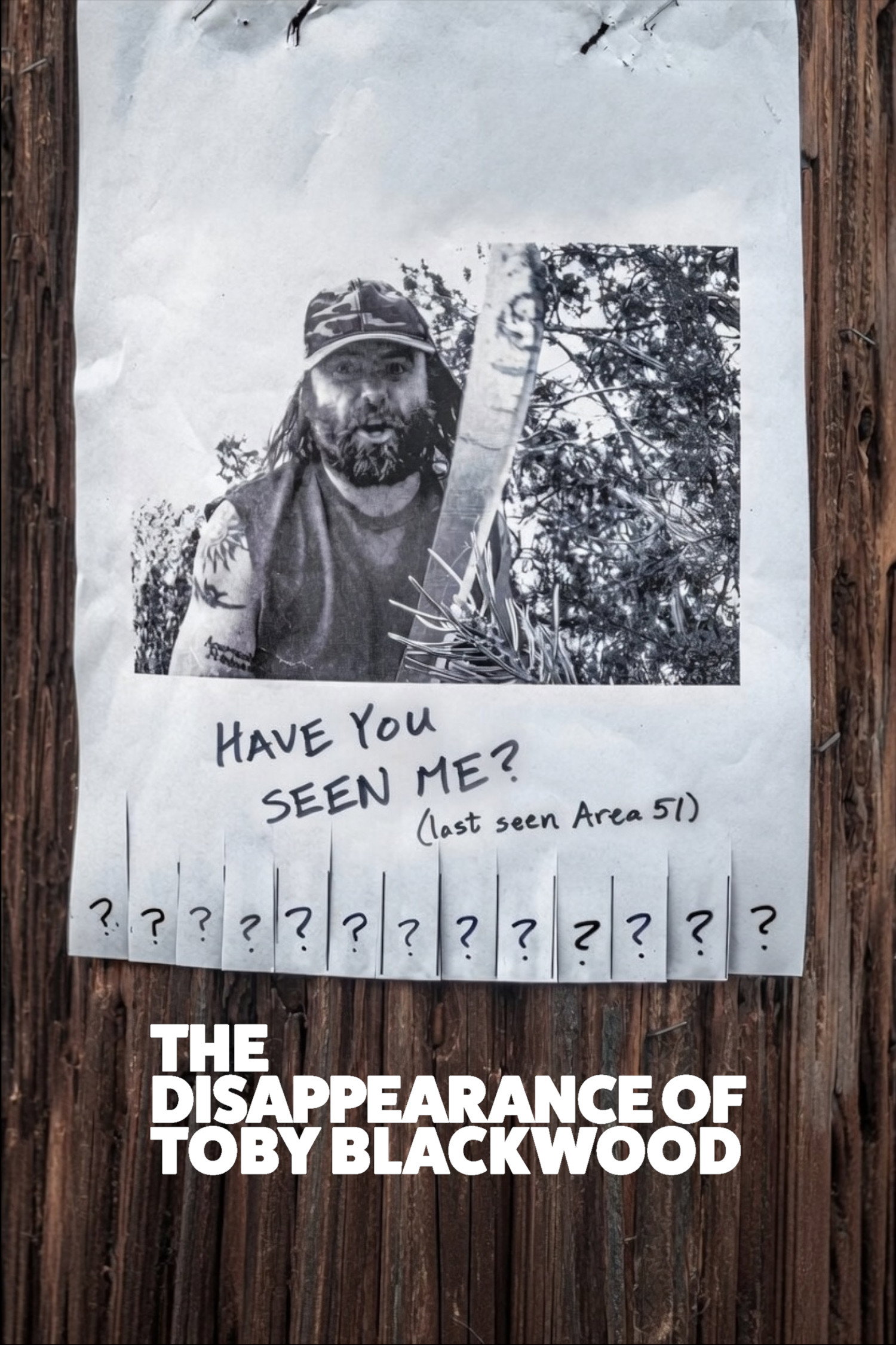 The Disappearance of Toby Blackwood