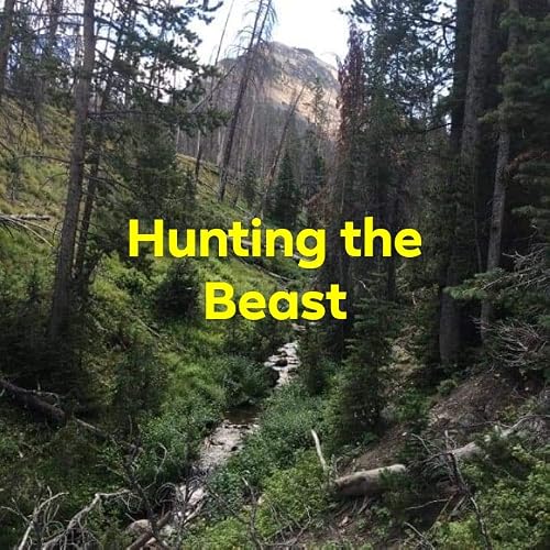 Hunting the beast