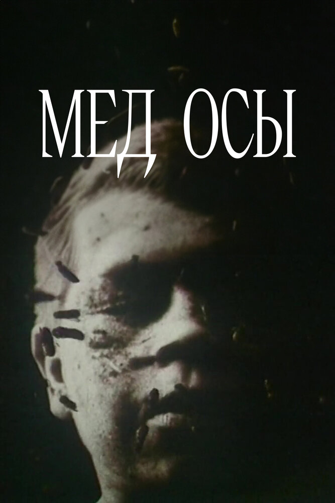 Мед осы
