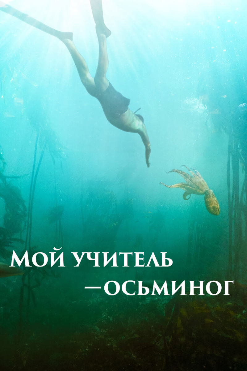 Мой учитель-осьминог