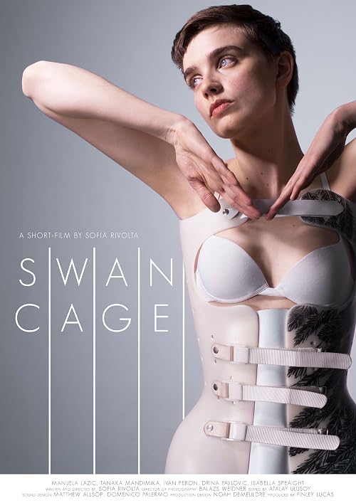 Swancage