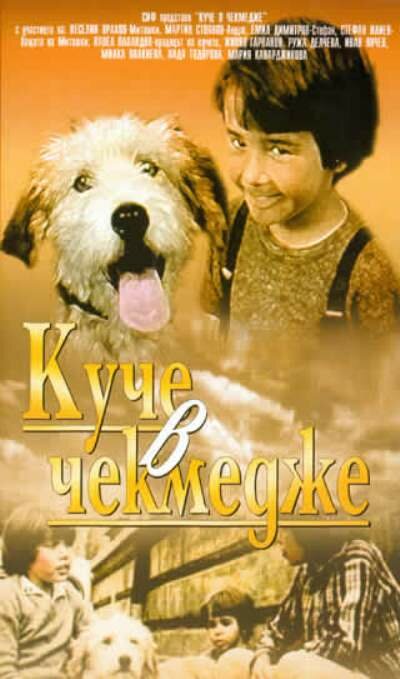 Kuche v chekmedzhe