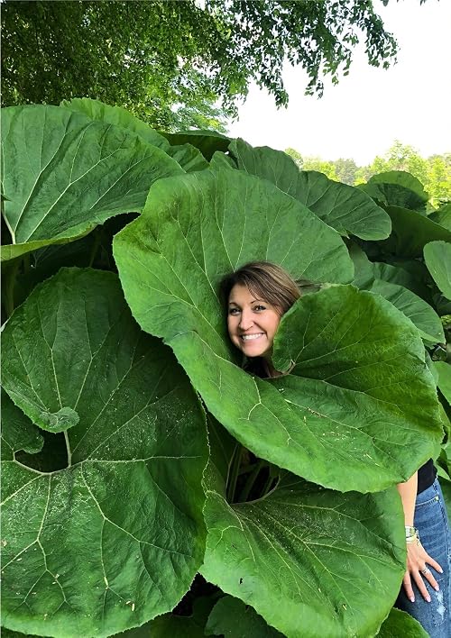 The Plant