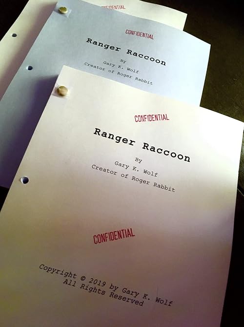 Ranger Raccoon