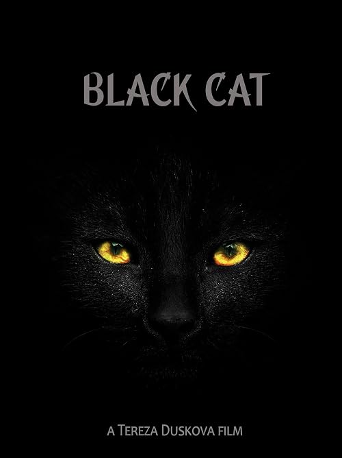 Black Cat