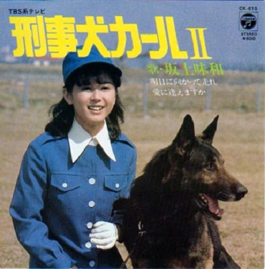 Keiji ken karu 2