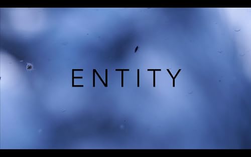 Entity